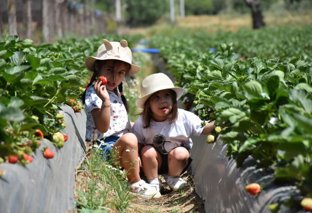 mugla-cilek-uretminde-16-siraya-yukseldi